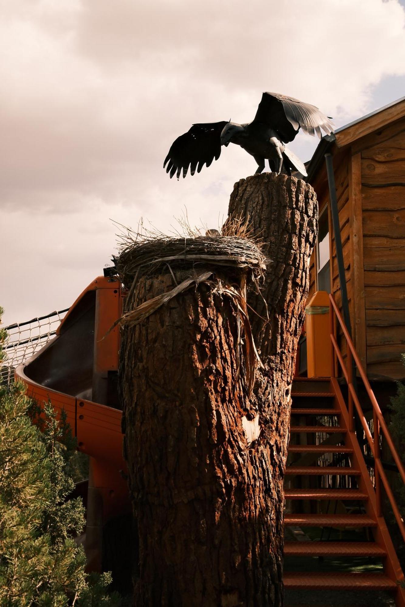 Crows Nest Treehouse At El Mstico Ranch Villa Nogal Exterior photo