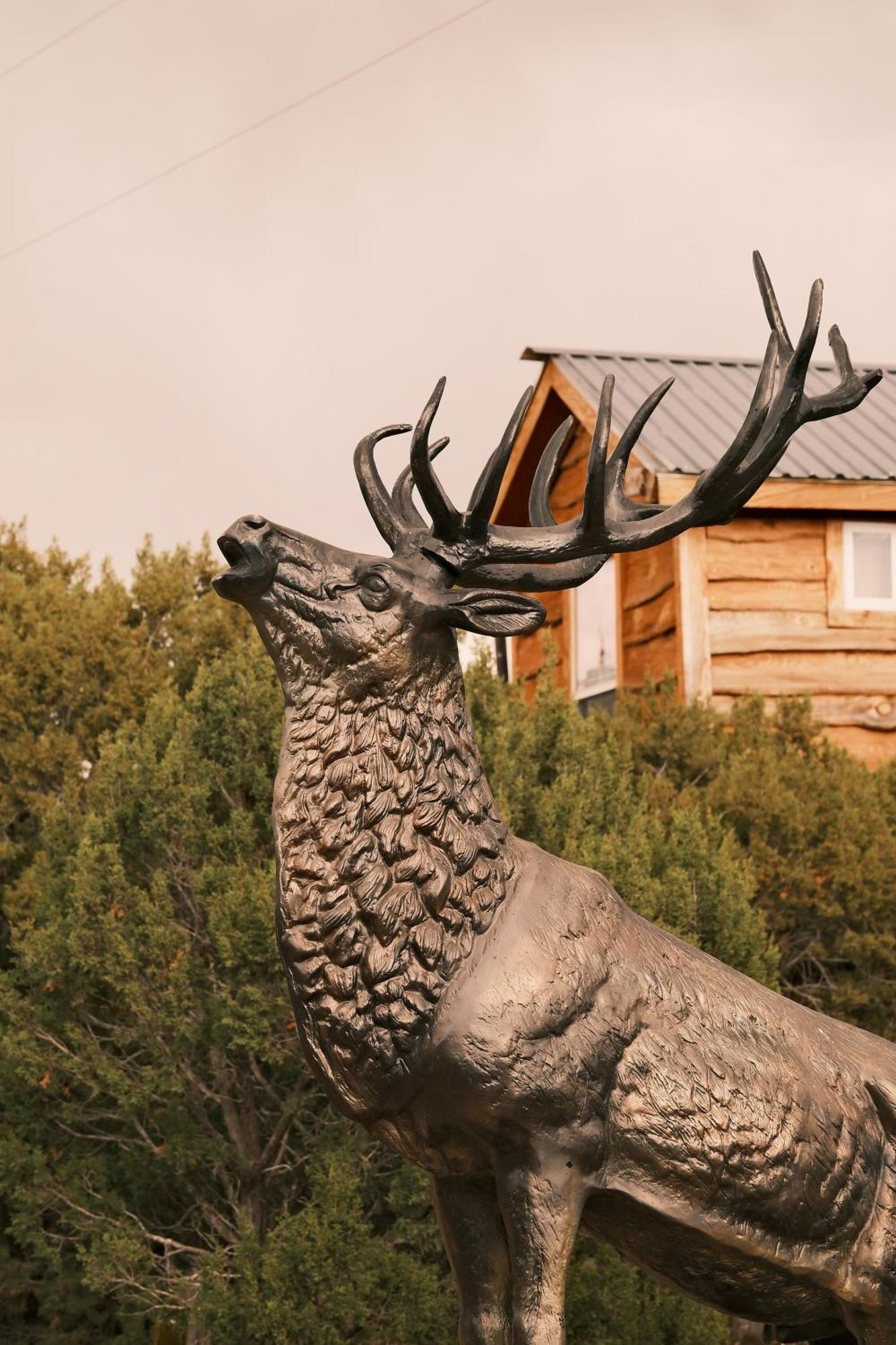 Crows Nest Treehouse At El Mstico Ranch Villa Nogal Exterior photo